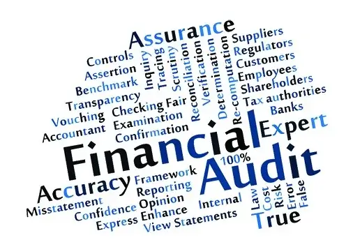 Introducing Audit and Assurance in Auditing